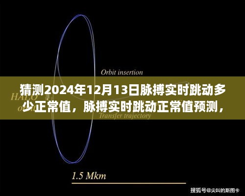 2024年12月13日脈搏實(shí)時(shí)跳動(dòng)正常值預(yù)測與展望探討