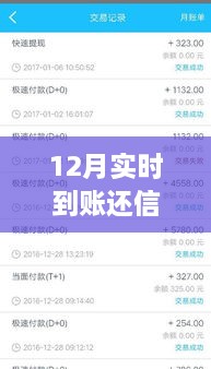 12月實(shí)時(shí)到賬，高效管理信用卡欠款，輕松還信用卡