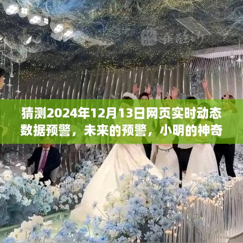 小明預測未來，神奇數(shù)據(jù)故事揭示2024年12月13日網(wǎng)頁實時動態(tài)數(shù)據(jù)預警