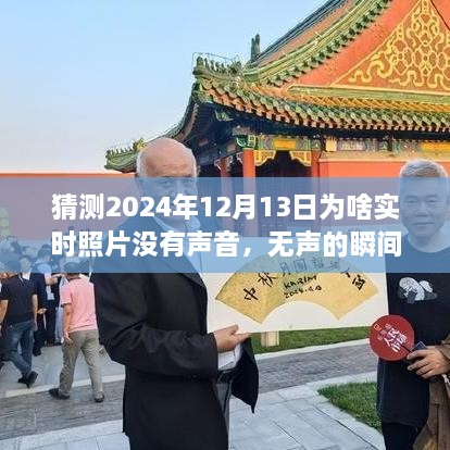 揭秘?zé)o聲瞬間背后的故事，為何2024年實(shí)時(shí)照片無聲開啟學(xué)習(xí)與成長之旅？