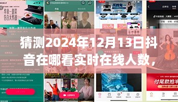 未來視野之旅，揭秘2024年抖音實(shí)時(shí)在線人數(shù)盛況——家庭日，在線情緣的見證