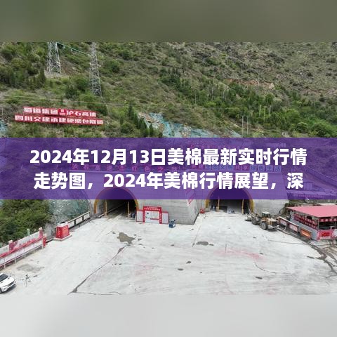 深度解析，2024年美棉行情展望與實(shí)時(shí)走勢(shì)圖背后的爭(zhēng)議