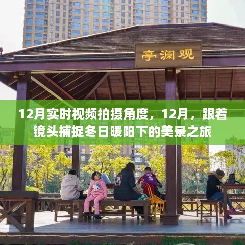 12月冬日美景之旅，捕捉暖陽下的絕佳拍攝角度