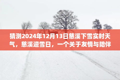 慈溪雪日溫情，友情與陪伴的溫馨故事，預測2024年12月13日實時天氣