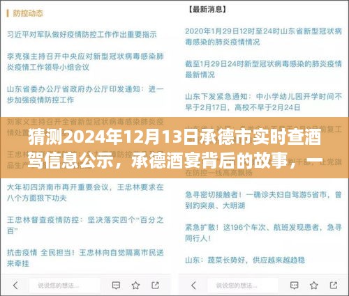 承德酒宴背后的故事，酒駕信息公示探秘之旅（猜測2024年12月13日承德市實時查酒駕信息公示）