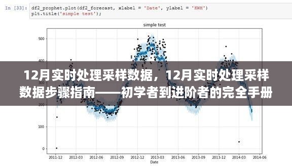 從新手到高手，12月實時處理采樣數(shù)據(jù)的完全指南與步驟解析