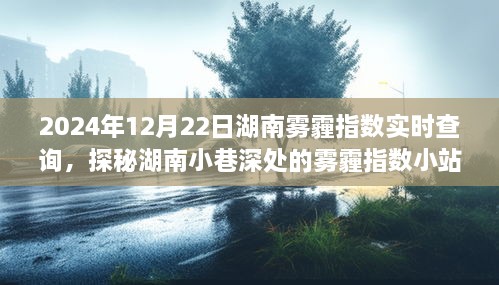 探秘湖南小巷深處，霧霾指數(shù)小站實(shí)時(shí)查詢之旅（2024年12月22日）