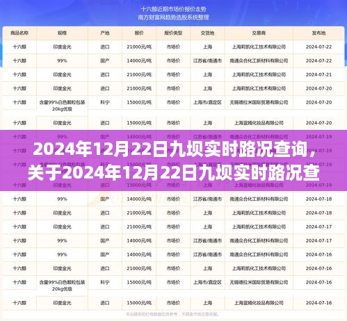 2024年12月22日九壩實時路況全面解析與查詢