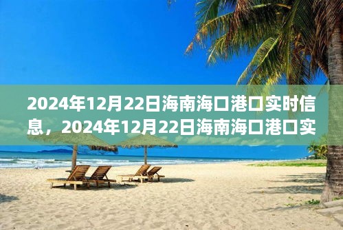 2024年12月22日海南海口港口實(shí)時(shí)信息全解析，小紅書帶你掌握最新動(dòng)態(tài)