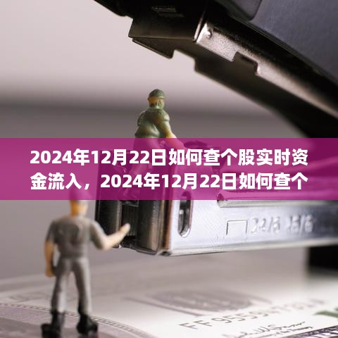 多維度解析與觀點探討，如何查詢個股實時資金流入——以2024年12月22日為例