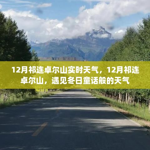 12月祁連卓爾山，冬日童話般的天氣實時報告