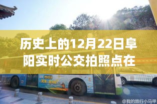 歷史上的12月22日阜陽公交之旅，探尋實(shí)時(shí)公交拍照點(diǎn)，尋找心靈的寧靜與自然的饋贈(zèng)