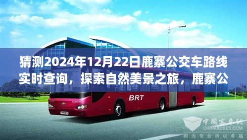 鹿寨公交路線新探秘，啟程2024年12月22日，探尋自然美景之旅實(shí)時(shí)查詢