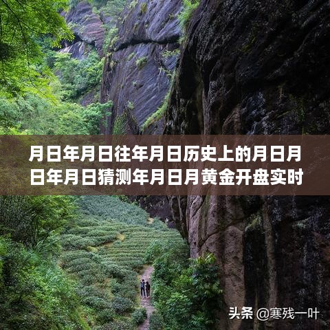 黃金行情揭秘，歷史、預(yù)測與實(shí)時(shí)動(dòng)態(tài)的交織