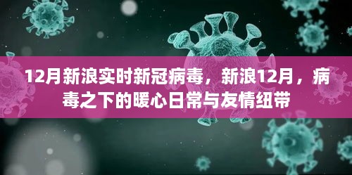 新浪12月，病毒下的暖心日常與友情紐帶，實(shí)時(shí)新冠病毒報(bào)道