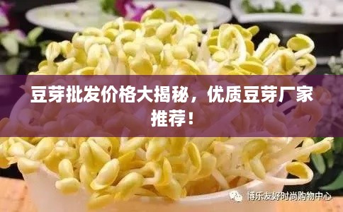 豆芽批發(fā)價格大揭秘，優(yōu)質(zhì)豆芽廠家推薦！