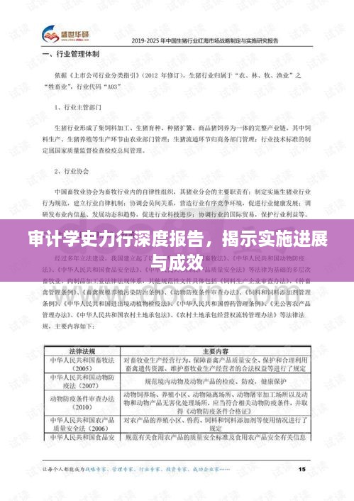 審計學(xué)史力行深度報告，揭示實施進(jìn)展與成效