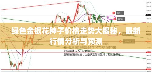 綠色金銀花種子價(jià)格走勢(shì)大揭秘，最新行情分析與預(yù)測(cè)