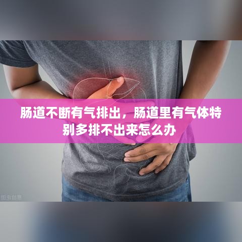 腸道不斷有氣排出，腸道里有氣體特別多排不出來(lái)怎么辦 