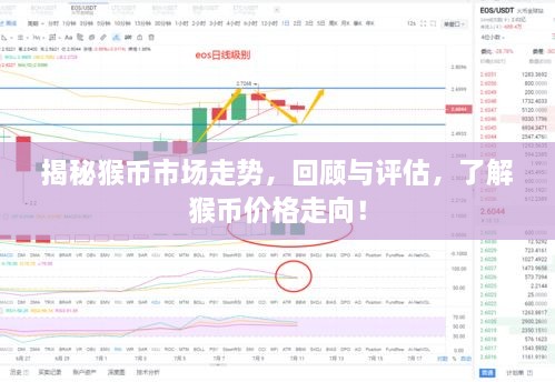 揭秘猴幣市場(chǎng)走勢(shì)，回顧與評(píng)估，了解猴幣價(jià)格走向！