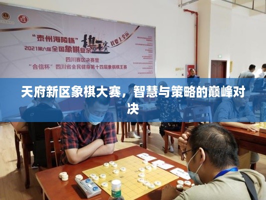 天府新區(qū)象棋大賽，智慧與策略的巔峰對決