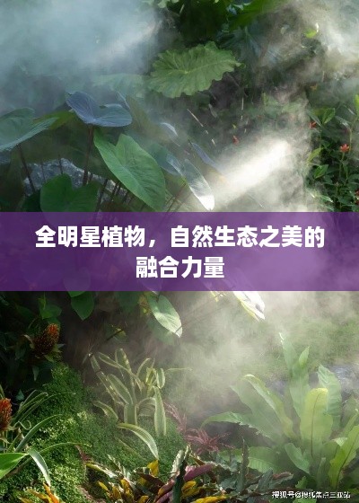 全明星植物，自然生態(tài)之美的融合力量