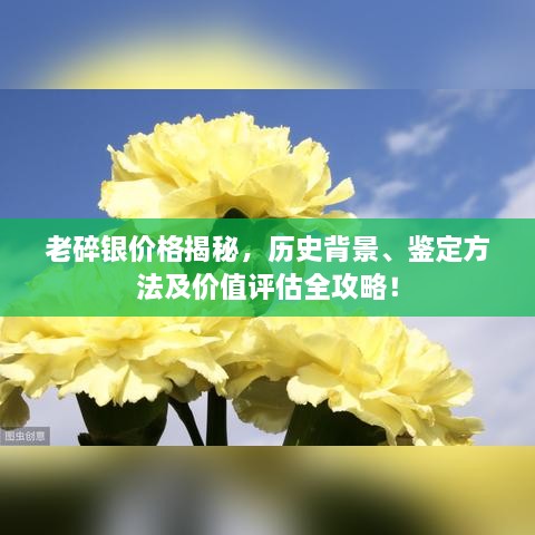 老碎銀價格揭秘，歷史背景、鑒定方法及價值評估全攻略！