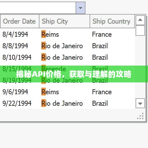揭秘API價(jià)格，獲取與理解的攻略