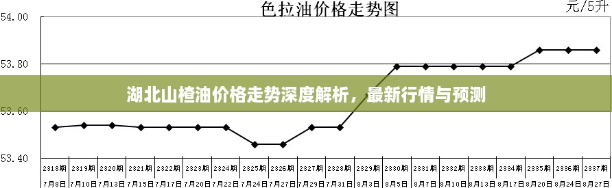 湖北山楂油價格走勢深度解析，最新行情與預(yù)測