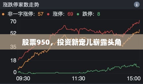 股票950，投資新寵兒嶄露頭角