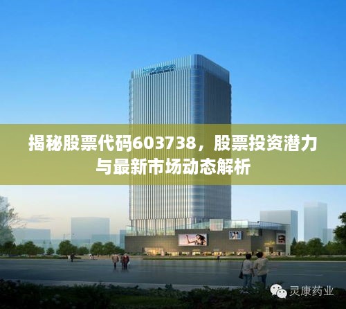 揭秘股票代碼603738，股票投資潛力與最新市場動態(tài)解析