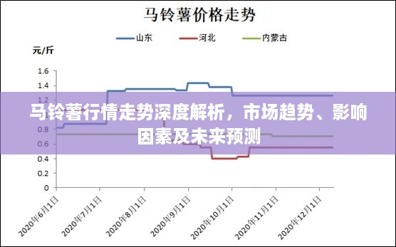 馬鈴薯行情走勢深度解析，市場趨勢、影響因素及未來預(yù)測