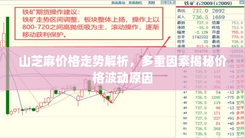 山芝麻價格走勢解析，多重因素揭秘價格波動原因