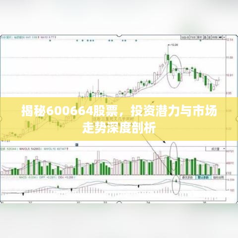 揭秘600664股票，投資潛力與市場(chǎng)走勢(shì)深度剖析