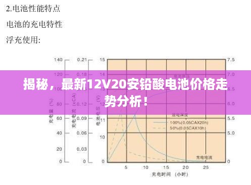 揭秘，最新12V20安鉛酸電池價(jià)格走勢(shì)分析！