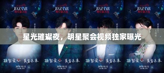 星光璀璨夜，明星聚會(huì)視頻獨(dú)家曝光