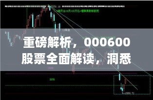 重磅解析，000600股票全面解讀，洞悉投資趨勢(shì)！