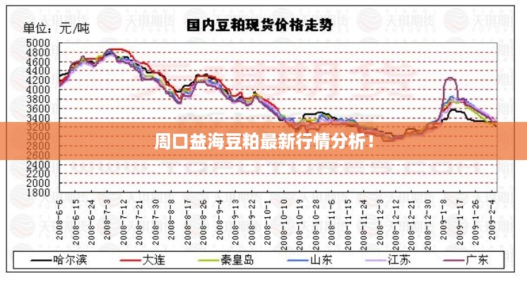 周口益海豆粕最新行情分析！