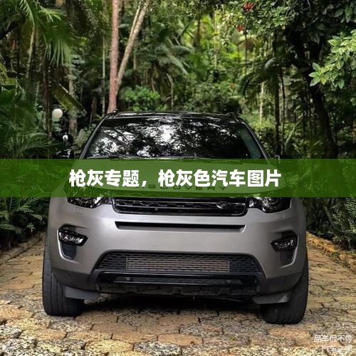 槍灰專題，槍灰色汽車圖片 