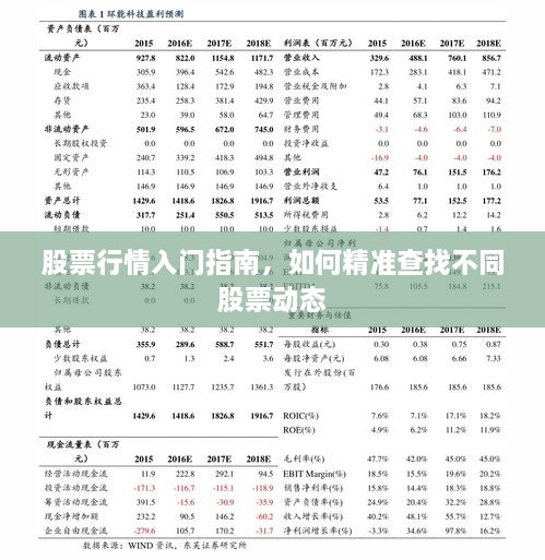 股票行情入門指南，如何精準(zhǔn)查找不同股票動(dòng)態(tài)