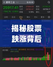 揭秘股票跌漲背后的風(fēng)險(xiǎn)與策略，如何巧妙應(yīng)對(duì)股市波動(dòng)？