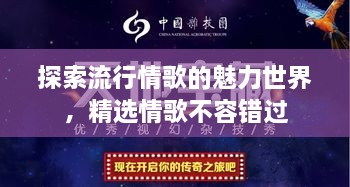 探索流行情歌的魅力世界，精選情歌不容錯(cuò)過(guò)