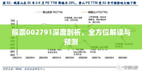 股票002791深度剖析，全方位解讀與預(yù)測(cè)