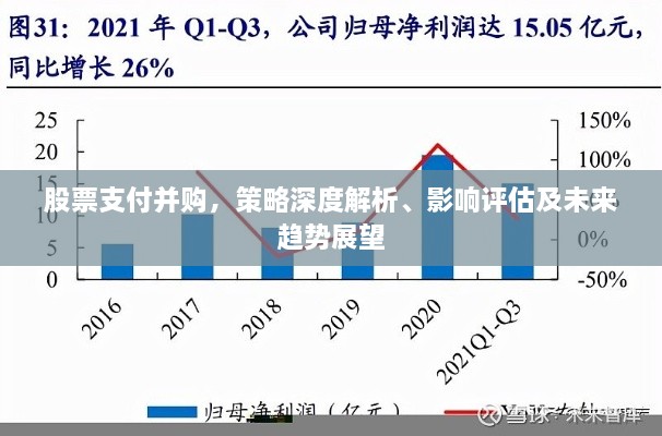 股票支付并購(gòu)，策略深度解析、影響評(píng)估及未來(lái)趨勢(shì)展望