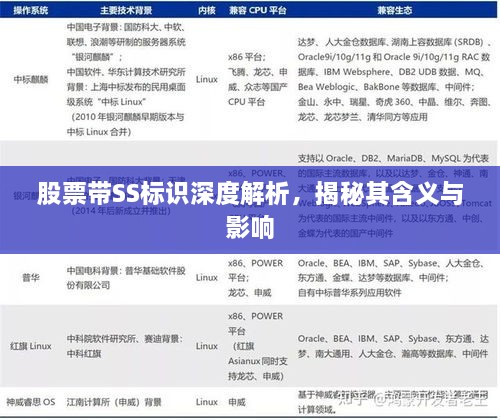 股票帶SS標(biāo)識深度解析，揭秘其含義與影響