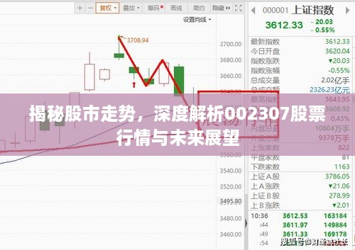 揭秘股市走勢(shì)，深度解析002307股票行情與未來展望