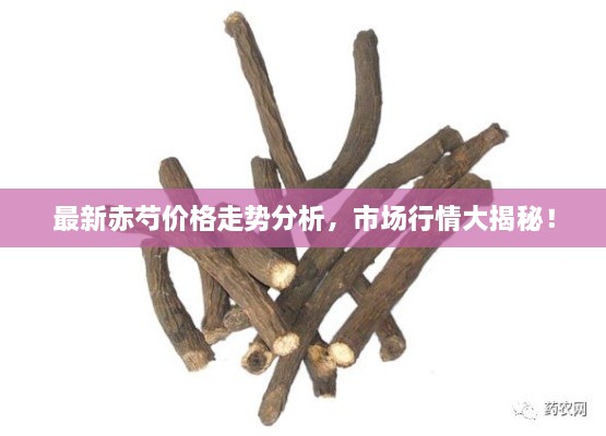 最新赤芍價(jià)格走勢(shì)分析，市場(chǎng)行情大揭秘！