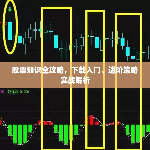 2025年1月7日 第7頁(yè)