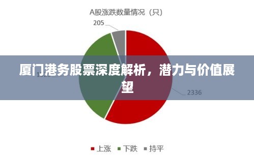 廈門港務(wù)股票深度解析，潛力與價值展望