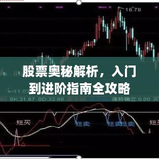 股票奧秘解析，入門到進階指南全攻略